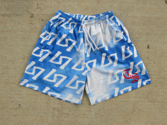$EVEN MESH SHORTS